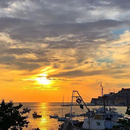 Szálloda Delfin Rovinj